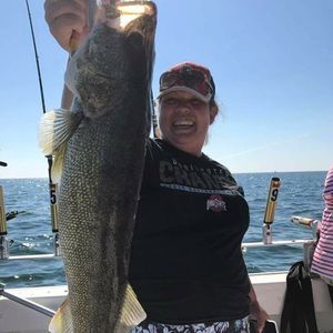 Meet your Posher, Laura